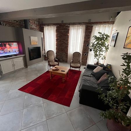 Magnifique Maison Toulousaine Tuluza Zewnętrze zdjęcie