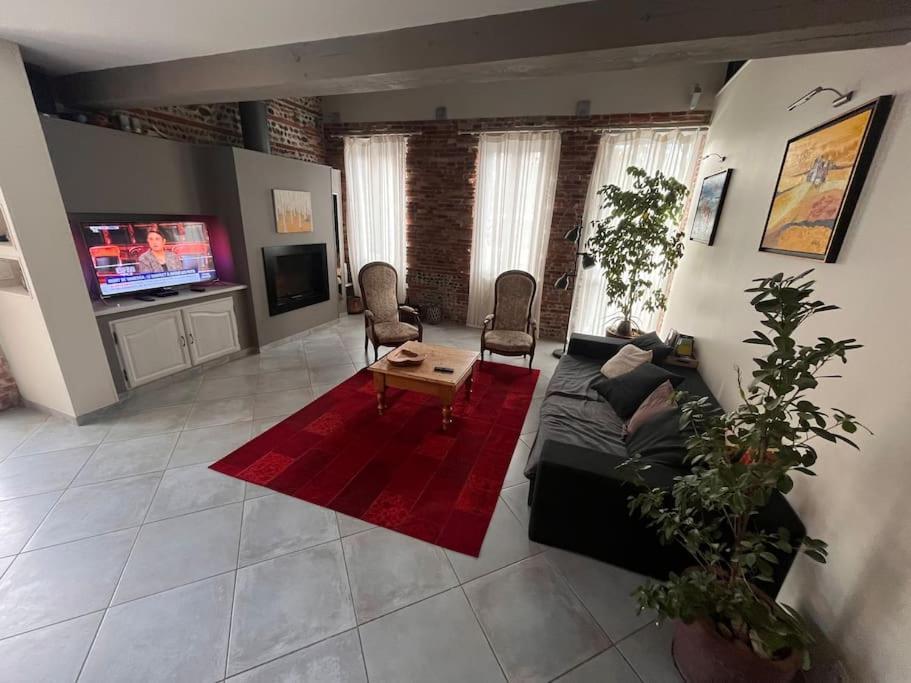 Magnifique Maison Toulousaine Tuluza Zewnętrze zdjęcie