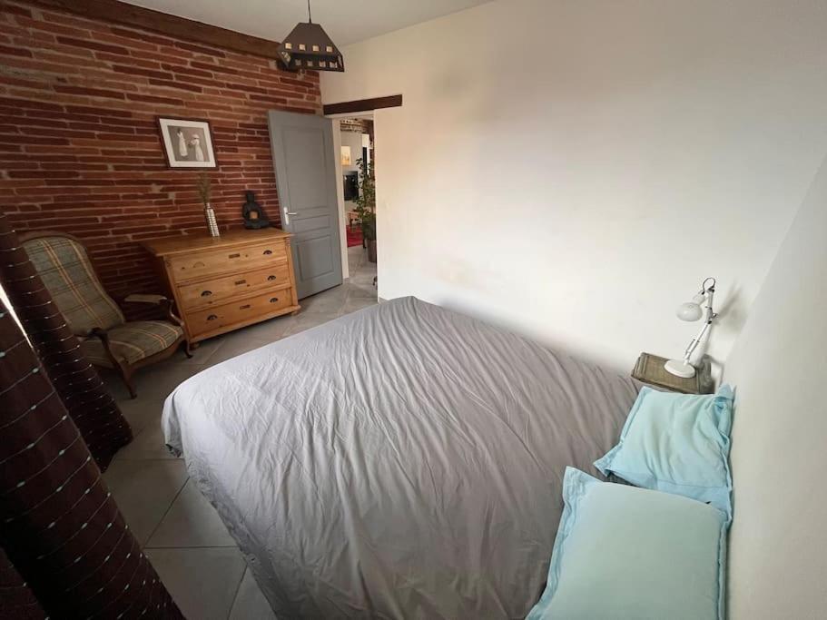 Magnifique Maison Toulousaine Tuluza Zewnętrze zdjęcie